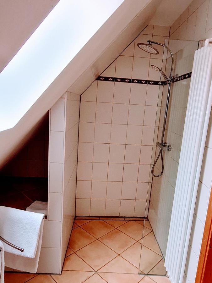 Apartment Ambiente